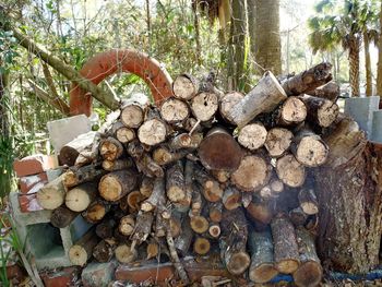 Stack of logs in forest