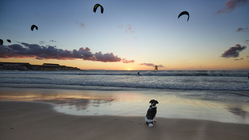 Silhouette person flying over beach against sky during sunset