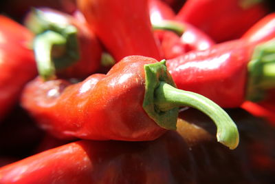 Close-up of red chili