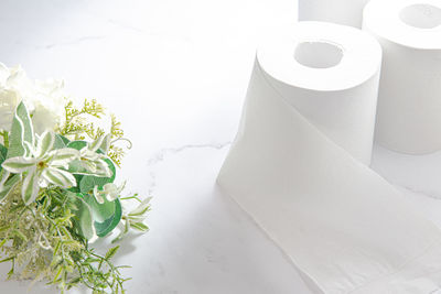 High angle view of white flowering plants on table