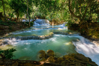 Scenic view of waterfall in forest