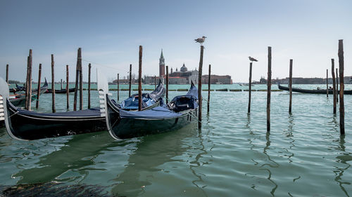 Gondolas moored in grand canal against st mark square