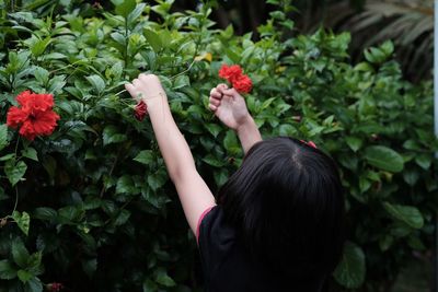 Rear view of girl picking flowers from plant