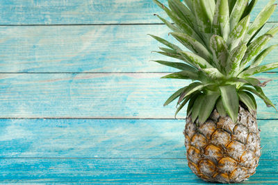 Directly above shot of coconut palm tree