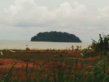 Scenic view of field by sea against sky