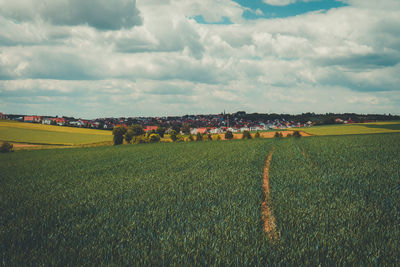 Scenic view of agricultural field against sky