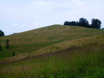 Scenic view of grassy field against sky