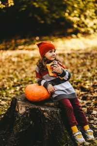 A little girl child in warm dress and a red hat is sitting with pumpkin on a stump in an autumn park