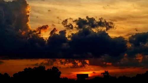 Low angle view of silhouette trees against orange sky