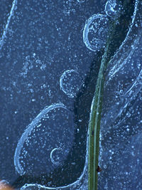 Close-up of raindrops on leaf