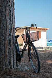 Bicycle parked by tree trunk against clear sky and beach