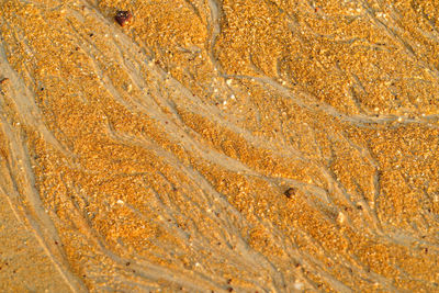 Textured beach sand during golden sunset.