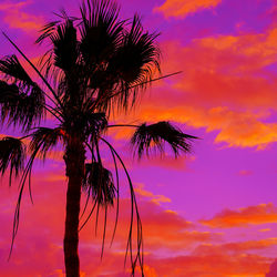 Low angle view of silhouette coconut palm tree against romantic sky