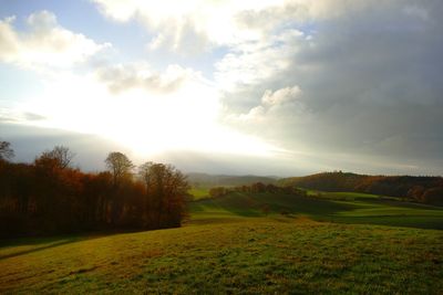 Scenic view of field against sky