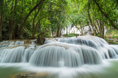 Scenic view of waterfall in forest