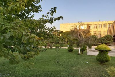 Trees and plants in garden against sky