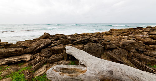 Driftwood on beach against sky