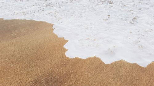 View of sandy beach