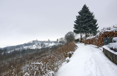 Trees on snow covered land against sky