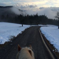 Scenic view of snow covered mountains