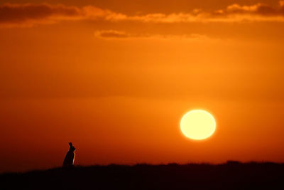 Silhouette woman standing against orange sky during sunset