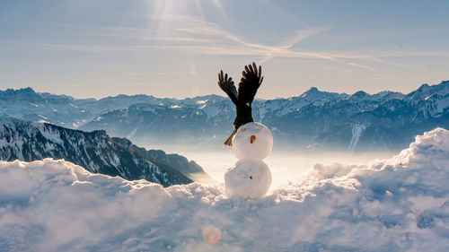 View of snowcapped mountain against sky