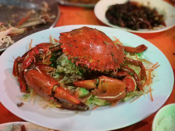 Close-up of seafood in plate