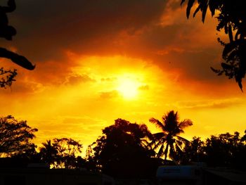 Silhouette trees against orange sky