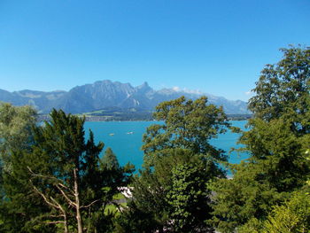 Scenic view of trees and mountains against clear blue sky