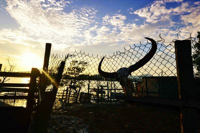 Barbed wire fence at sunset