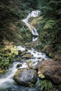 High angle view of waterfall in forest