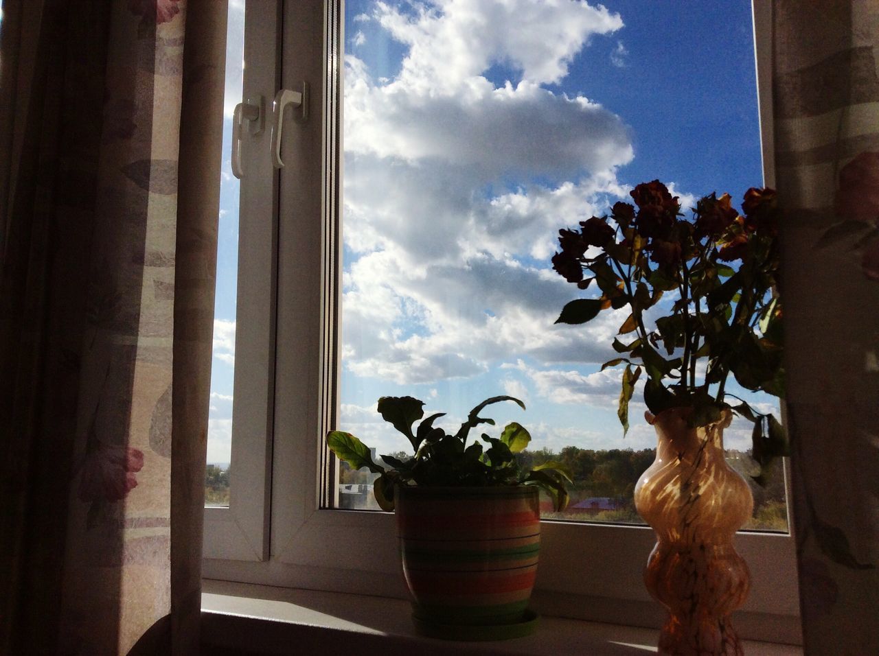 indoors, window, potted plant, flower, home interior, sky, vase, houseplant, plant, window sill, cloud - sky, pot plant, growth, bunch of flowers, day, flower arrangement, no people