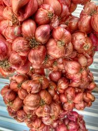 Full frame shot of pink flowers for sale in market