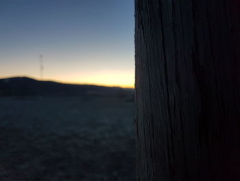 Close-up of silhouette tree against sky at sunset