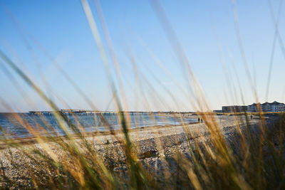 Scenic view of sea against clear sky