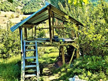 Built structure on land in forest