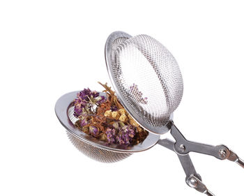 High angle view of flowering plant against white background