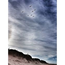 Low angle view of silhouette birds flying against sky