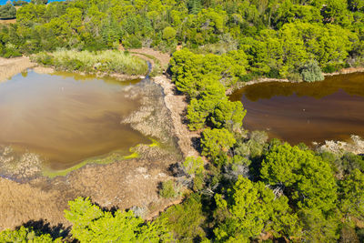 Aerial view of saline salt marsh on brijuni national park