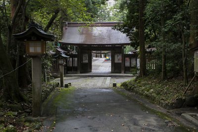 Empty road amidst trees and buildings