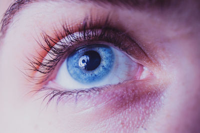 Extreme close-up of human eye