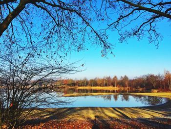 Reflection of trees in lake against clear sky