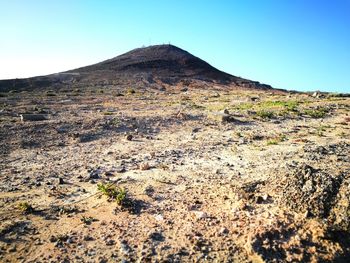 Scenic view of field against clear blue sky