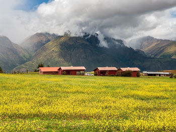 Scenic view of field against mountains