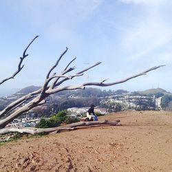 View of landscape against sky