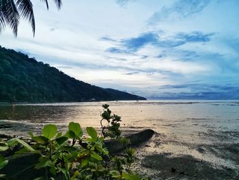 Scenic view of sea against sky