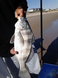 Close-up of man hand holding fish against sky