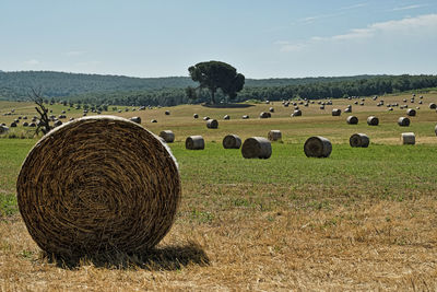 Hay bales on field against sky