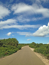 Road amidst trees against sky