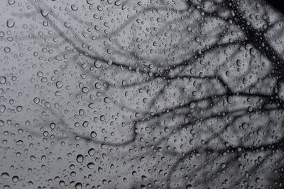 Full frame shot of water drops on spider web